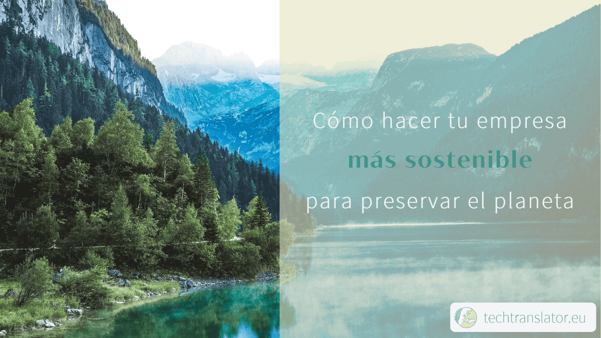 Cómo hacer tu empresa más sostenible para preservar el planeta